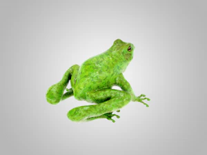 Frog 3D Model
