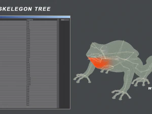 Frog 3D Model