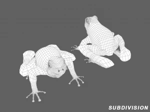 Frog 3D Model