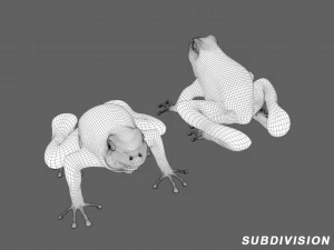 Frog 3D Model