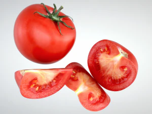 토마토 3D 모델
