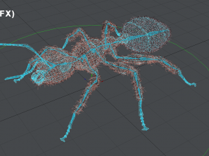 Ant 3D Model