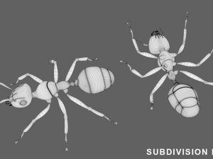 Ant 3D Model