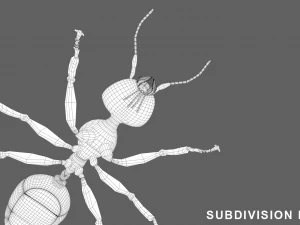 Formiga Modelo 3D