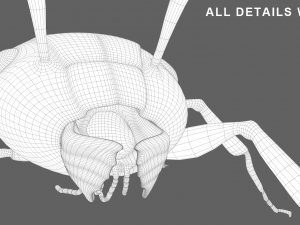 Ant 3D Model