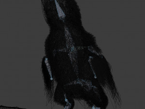 Parrot Modello 3D