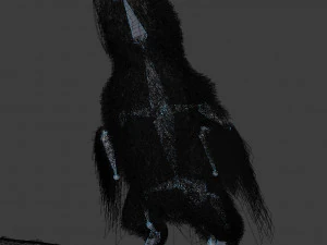 Pappagallo Modello 3D