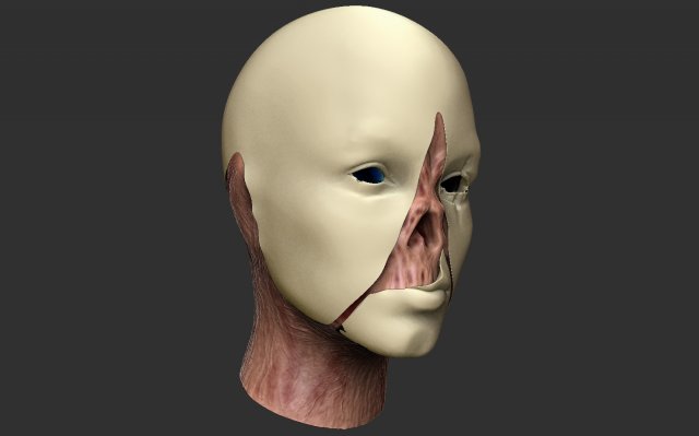 empathy 3D Model .c4d .max .obj .3ds .fbx .stl .blend 