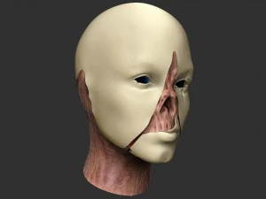 сочувствие 3D Модель