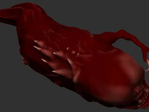 larva 3D Model
