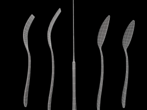 cutlery 5 item set with swirl accent 3D Model