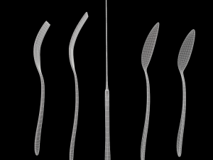 cutlery 5 item set with swirl accent 3D Model