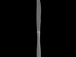 dinner knife with swirl accent 3D Model
