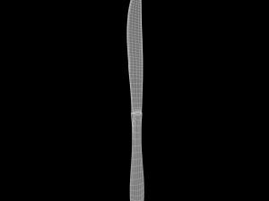 dinner knife with swirl accent 3D 모델