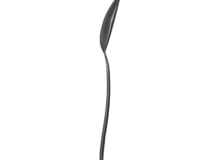 tablespoon with swirl accent Modelo 3D