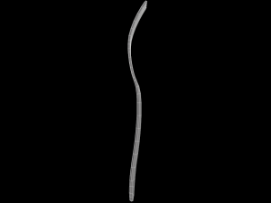 salad fork with swirl accent Modello 3D