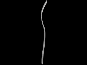 salad fork with swirl accent Modello 3D