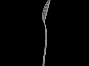 teaspoon with swirl accent 3D Model