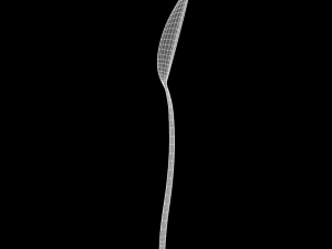teaspoon with swirl accent 3D Model