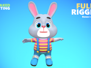 rabbit bunny hare animated rigged 3D Model