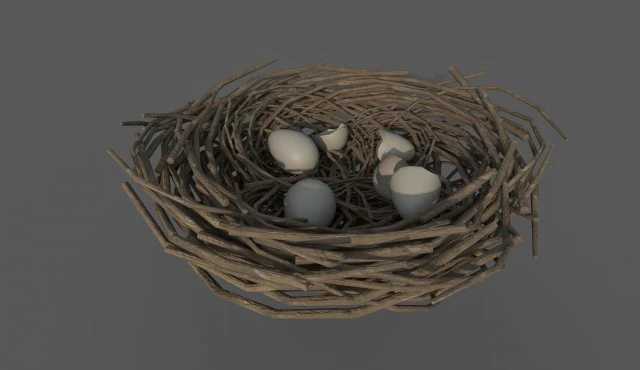 bird nest 3D Model .c4d .max .obj .3ds .fbx .stl .blend 