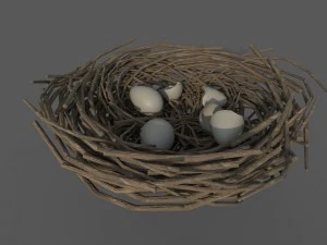 鳥の巣 3Dモデル