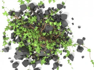 Pianta rampicante 3D Modello 3D