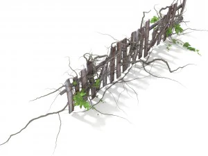 3d climbing plant 3D Model