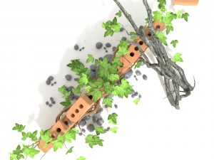 3d climbing plant 3Dモデル