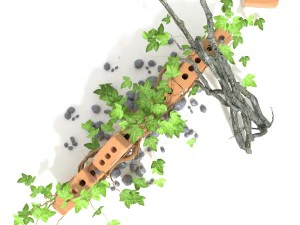 3d climbing plant 3D Model