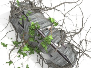 3d climbing plant 3Dモデル