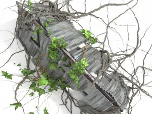 3d climbing plant 3D Model