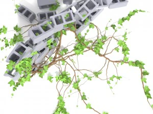 3d climbing plant 3D Model