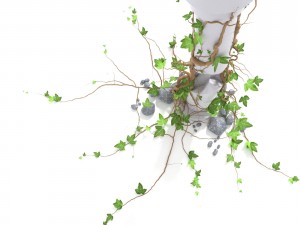 3d climbing plant 3Dモデル