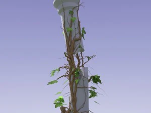 3d climbing plant 3D Model