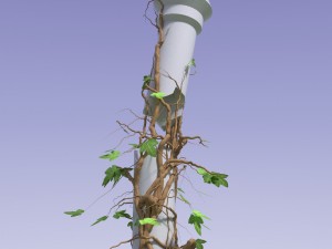 3d climbing plant 3Dモデル