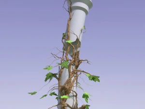 3d climbing plant 3D Model