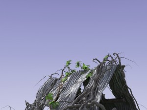 3d climbing plant 3Dモデル
