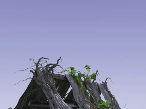 3d climbing plant 3D Model