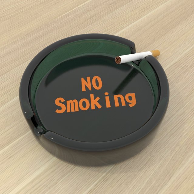 smoke 3D Model .c4d .max .obj .3ds .fbx .stl .blend 