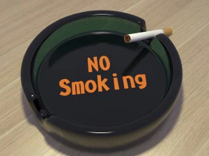 धुआँ 3D मॉडल