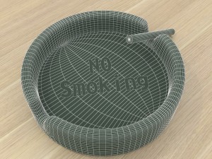 smoke 3D Model