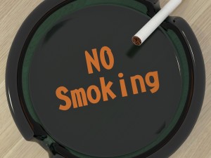 smoke 3D Model