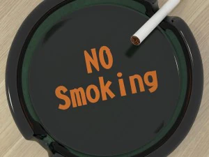 धुआँ 3D मॉडल