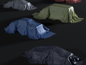 fabric on the car 3D Model