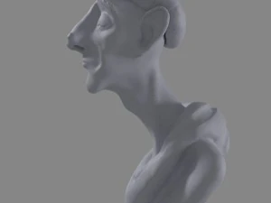 man bust 3D Model