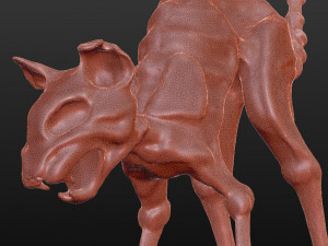 cotyara 3D मॉडल