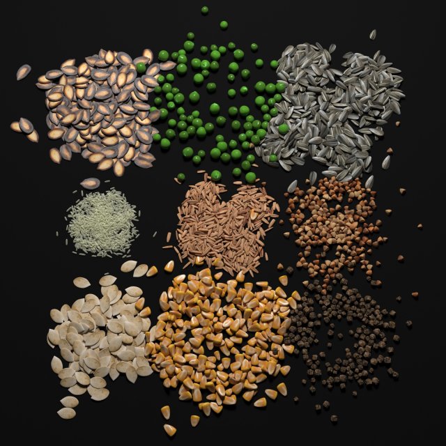 seeds 3D Model .c4d .max .obj .3ds .fbx .stl .blend 