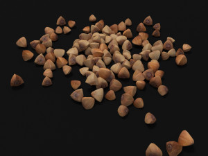 seeds 3D Model