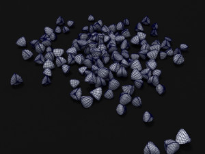 seeds 3D Model